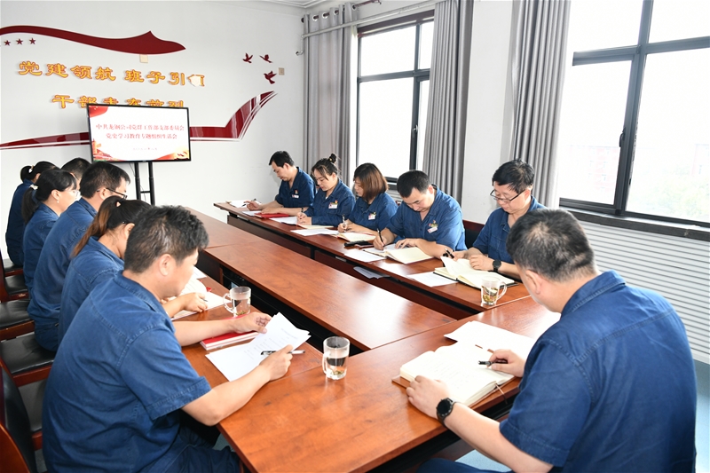 公司領導以普通黨員身份參加所在黨支部黨史學習教育專題組織生活會